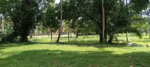 Commercial Land For Sale in Horana