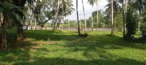 Commercial Land For Sale in Horana