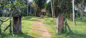 Commercial Land For Sale in Horana