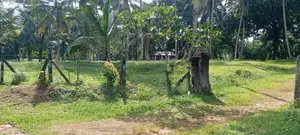 Commercial Land For Sale in Horana