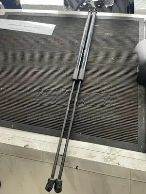Toyota Camry Bonnet Shock Set 2013
