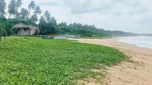 (AF206) 277 P Beach Facing Land Sale At Rekewa Tangale