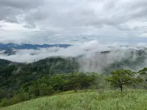 View point land for sale Nuwara Eliya