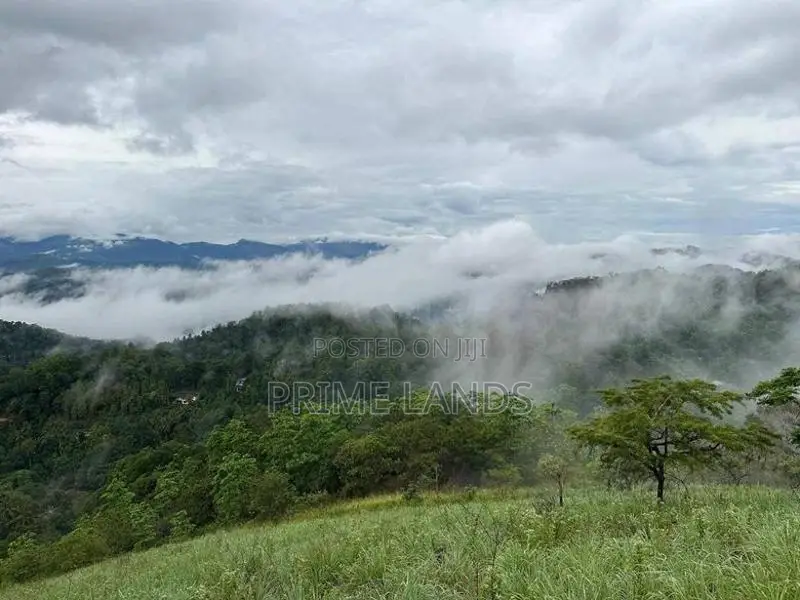 View point land for sale Nuwara Eliya