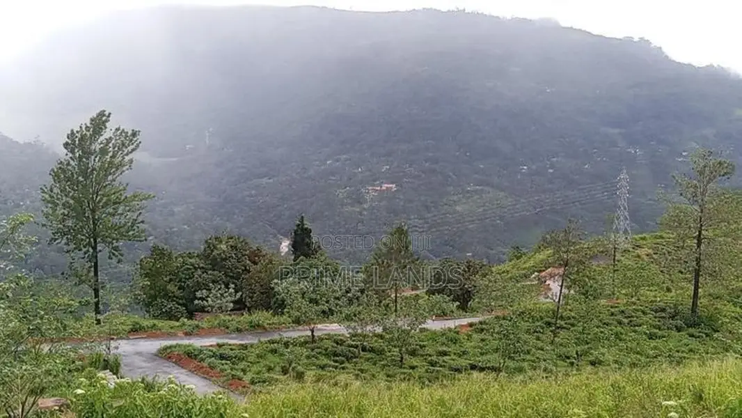 View point land for sale pundaluoya range