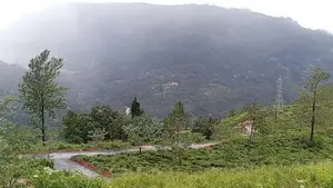 View point land for sale pundaluoya range