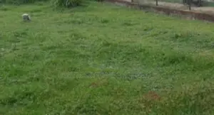 Colombo 7 : 39 Perches Commercial Land for Sale