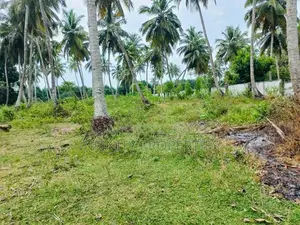 (AF206) 277 P Beach Facing Land Sale At Rekewa Tangale