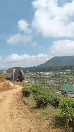 View Point Land for Sale Nuwara Eliya