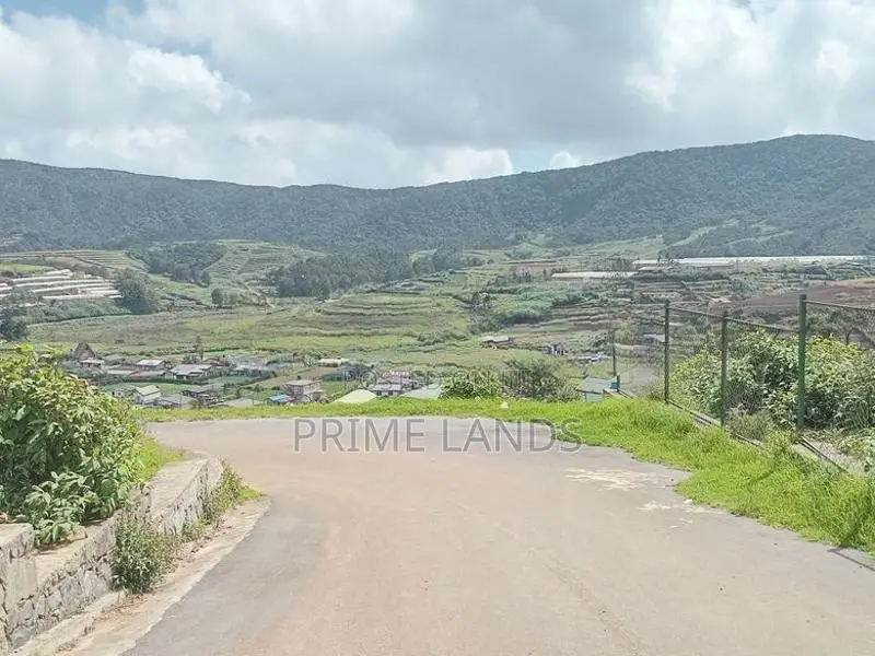 View point land for sale Nuwara Eliya