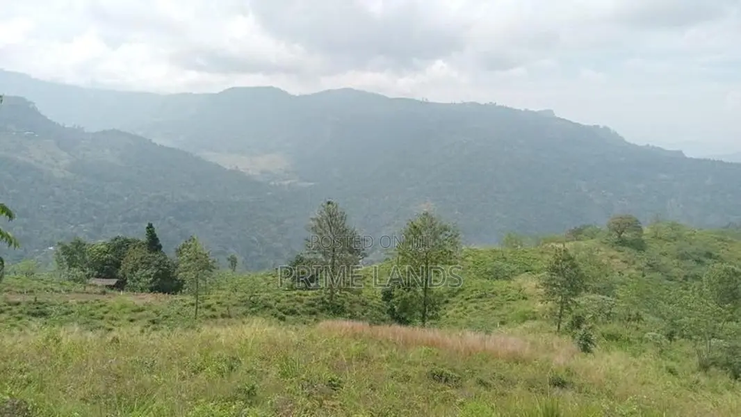 View point land for sale Nuwara Eliya