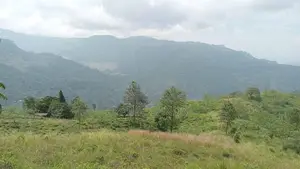 View point land for sale Nuwara Eliya