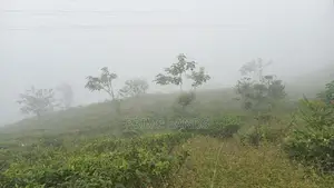 View point land for sale pundaluoya range