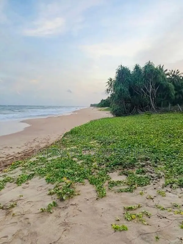 (AF205) 240 P Beach Facing Land Sale At Kahadamodara Ranna