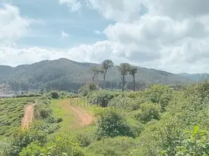 View point land for sale Nuwara Eliya