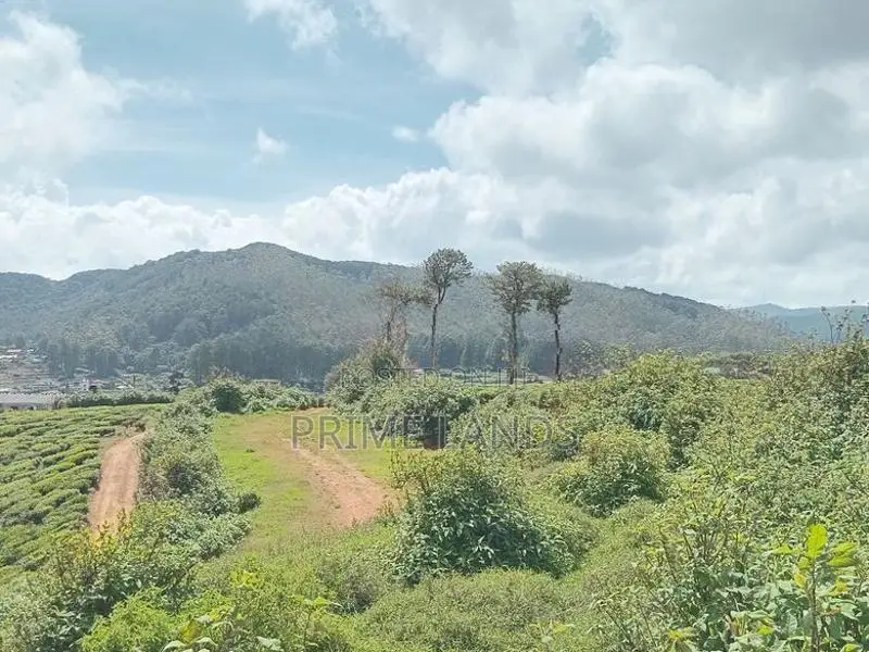 View point land for sale Nuwara Eliya