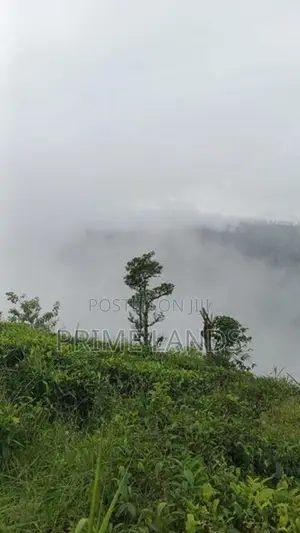 View point land for sale pundaluoya range