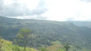 View point land for sale Nuwara Eliya Road