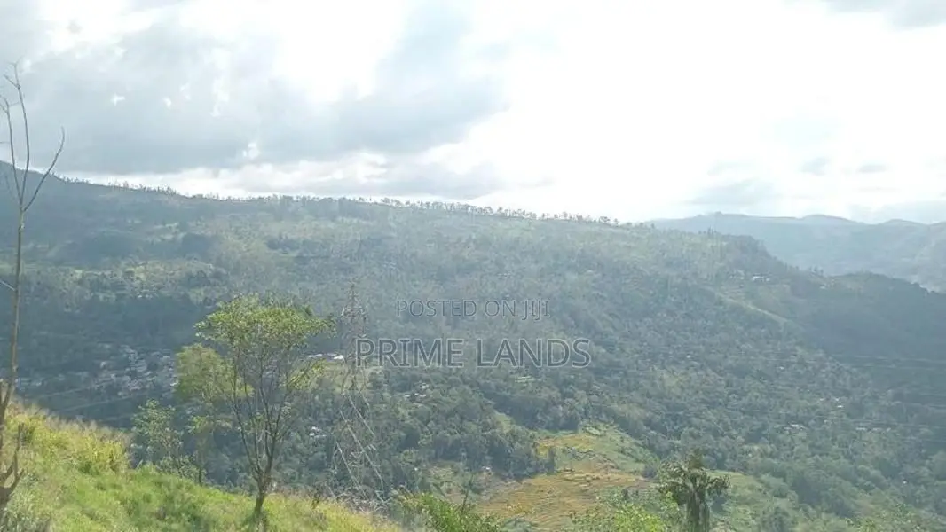 View point land for sale Nuwara Eliya