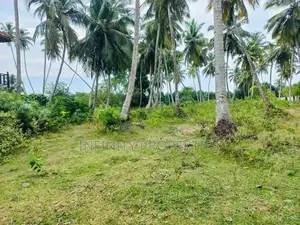 (AF206) 277 P Beach Facing Land Sale At Rekewa Tangale