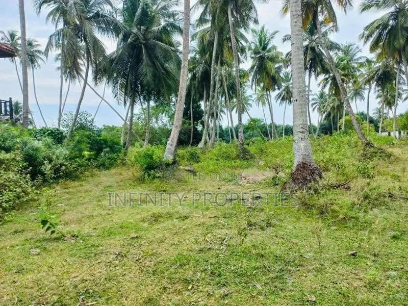 (AF206) 277 P Beach Facing Land Sale At Rekewa Tangale