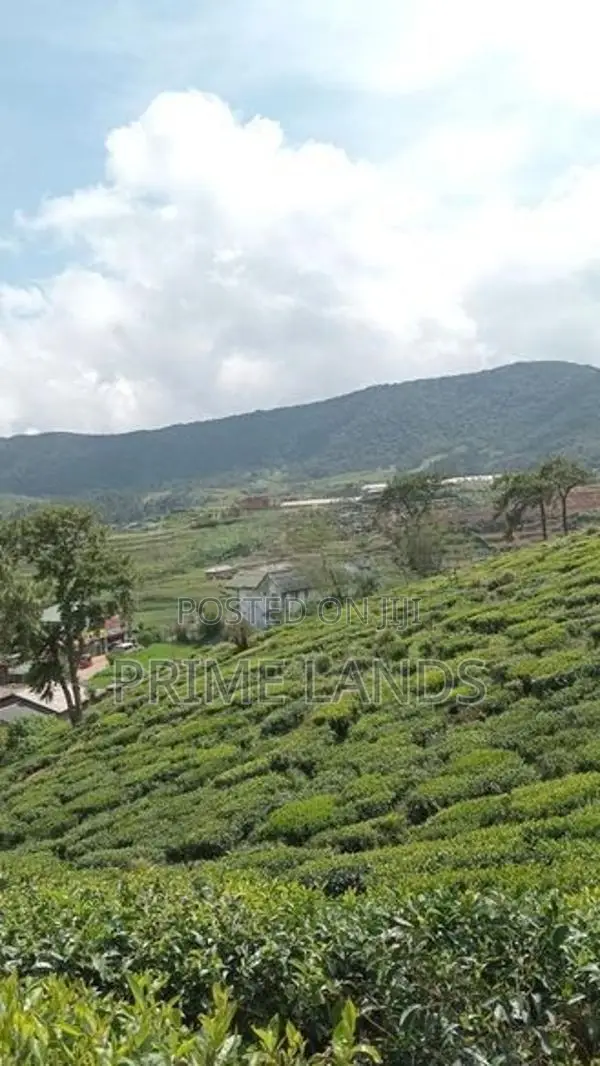 View point land for sale Nuwara Eliya
