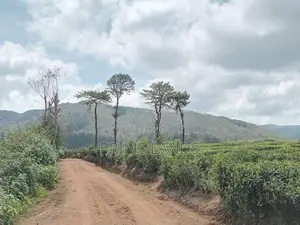 View point land for sale Nuwara Eliya City