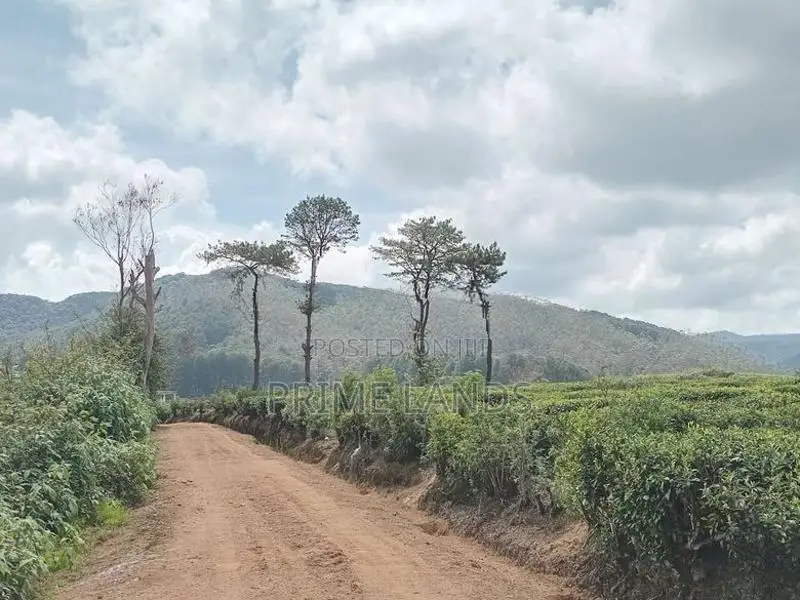 View point land for sale Nuwara Eliya City