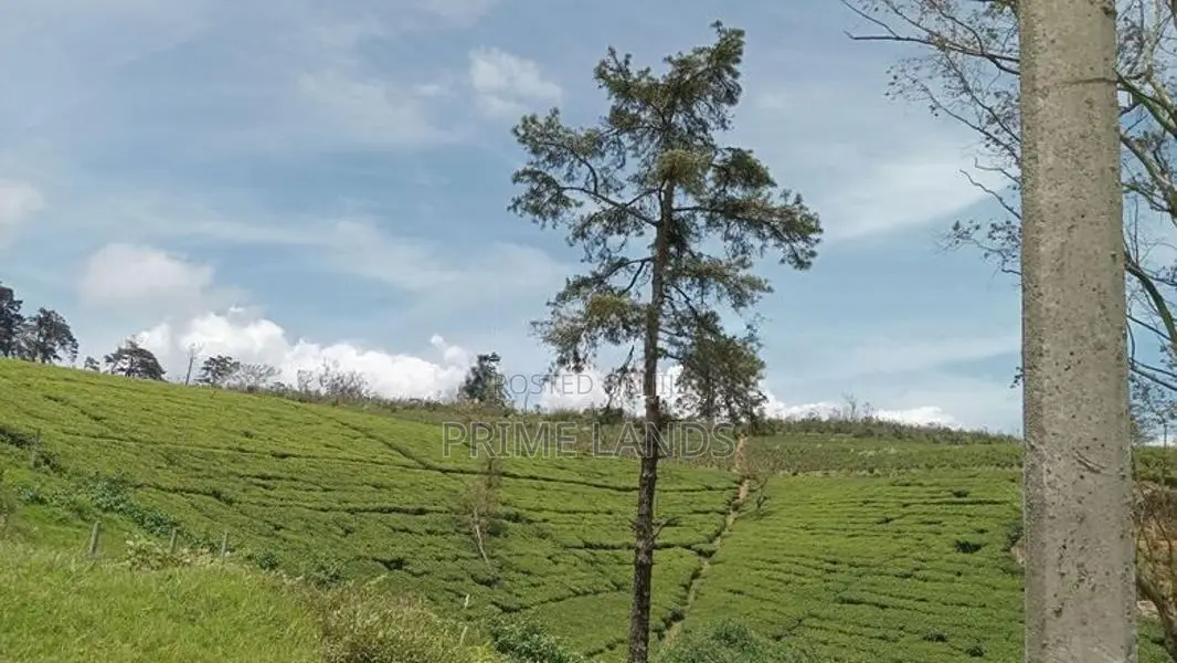 Land for sale Nuwara Eliya