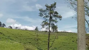 Land for sale Nuwara Eliya