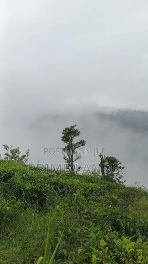 View point land for sale Nuwara Eliya