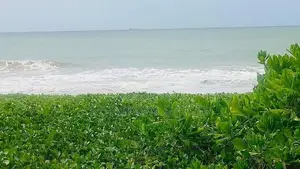 (AF206) 277 P Beach Facing Land Sale At Rekewa Tangale