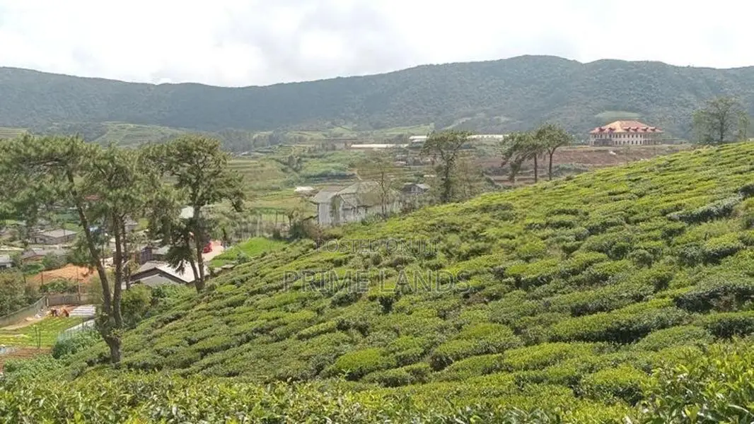 View Point Land for Sale Nuwara Eliya