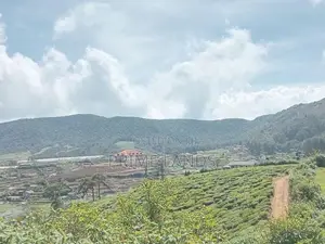 View point land for sale Nuwara Eliya