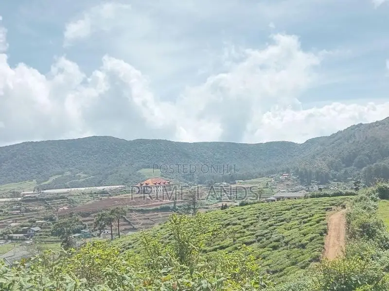 View point land for sale Nuwara Eliya