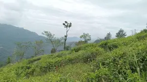 View Point Land for Sale Nuwara Eliya Road