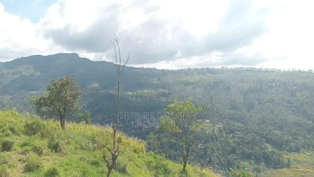 View point land for sale Nuwara Eliya