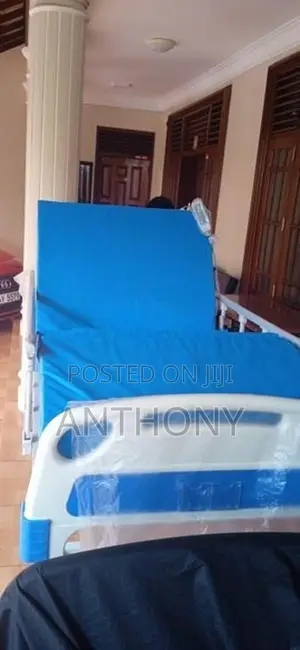 Three Function Bed with Mattress
