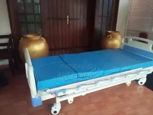Electric Bed with Mattress
