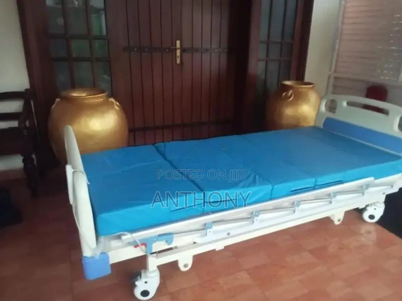 Electric Bed with Mattress