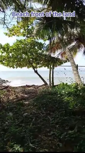 Tangalle : 47 perches Beach facing Land for Sale at Madakattiya
