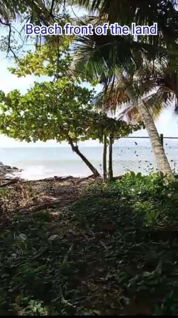 Tangalle : 47 perches Beach facing Land for Sale at Madakattiya