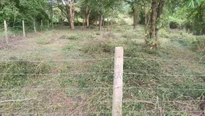 Land for Sale. Anuradhapura