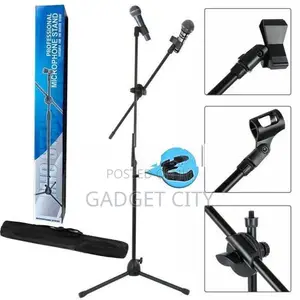 Professional Microphone Stand