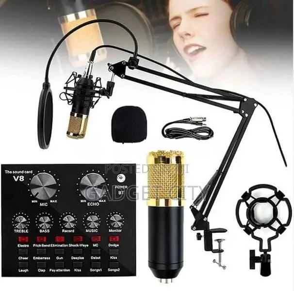 Professional Condenser Dual Microphone with V8 Sound Card
