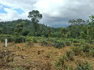 Land for Sale in Pilimathalawa
