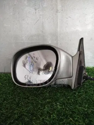 BIG HORN SIDE MIRROR