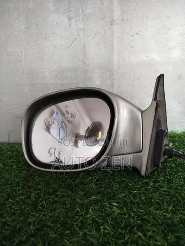 BIG HORN SIDE MIRROR
