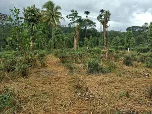 Land for Sale in Pilimathalawa
