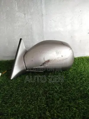 BIG HORN SIDE MIRROR